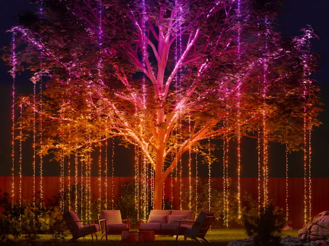 twinkly-strings-hd-multicolor-white-smart-led-lichterkette-mit-hohen-led-dichte- image 1
