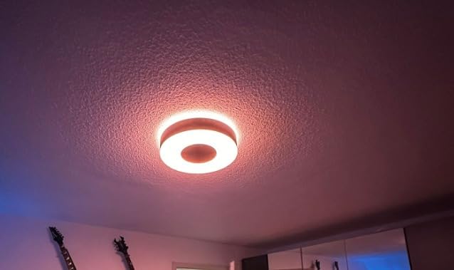 Sprachsteuerung funktioniert einwandfrei