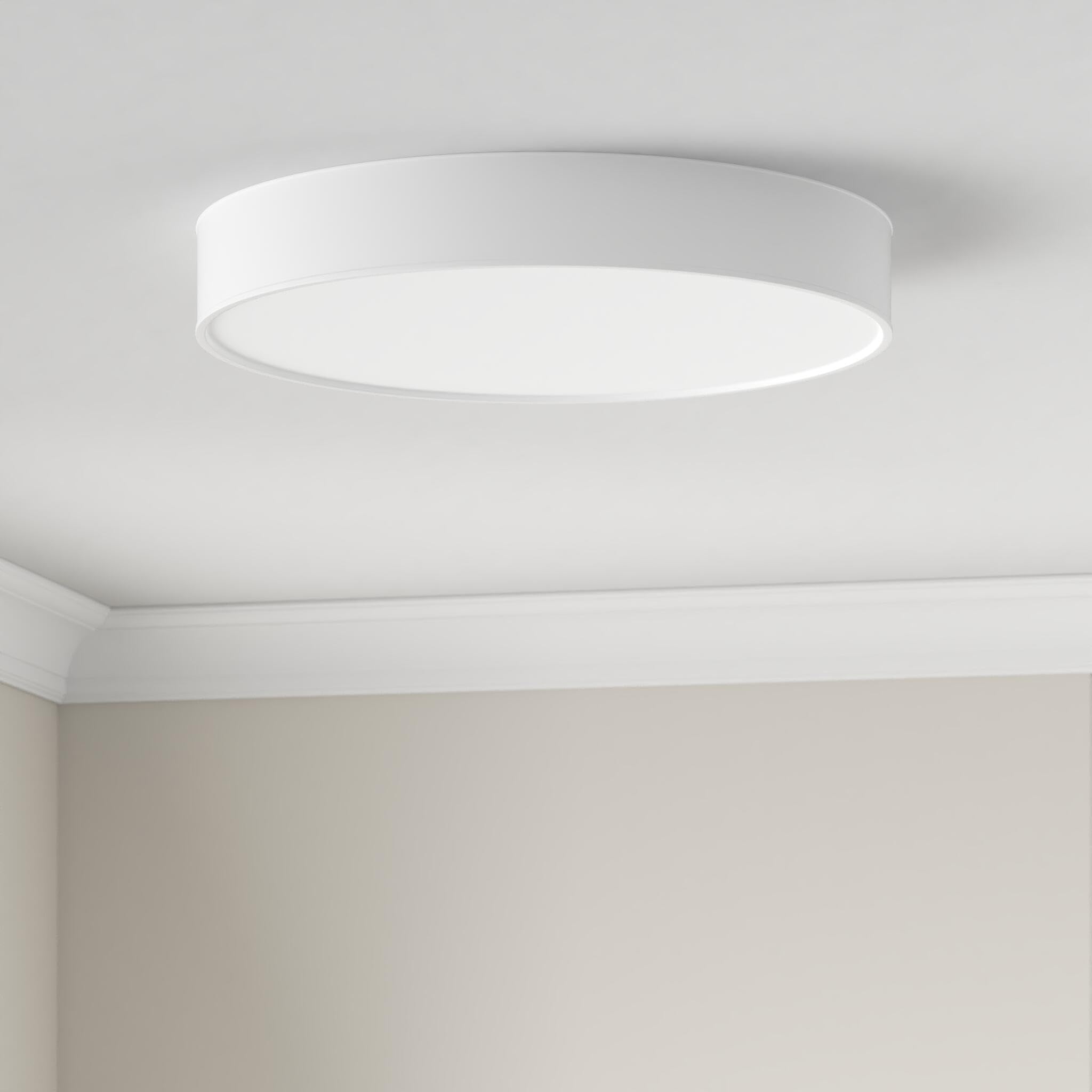 philips-hue-white-ambiance-enrave-deckenleuchte-xl-6-100-lm-inkl-dimmschalter-di image 2