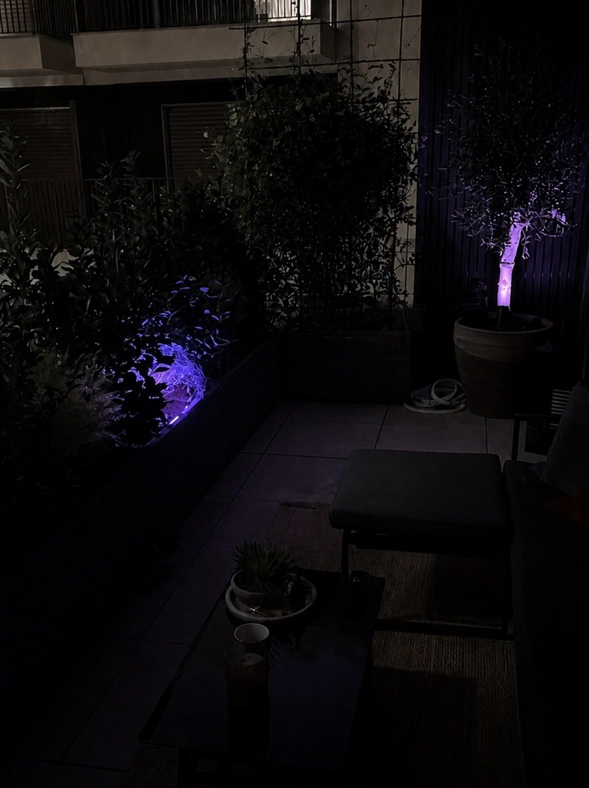 Garten in neuem Licht