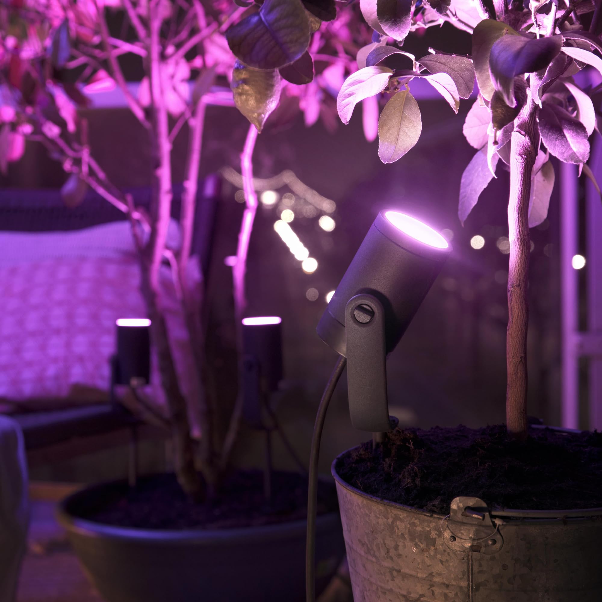 philips-hue-lily-basis-set-mit-4-gartenstrahlern-anthrazit-white-and-color-ambia image 7