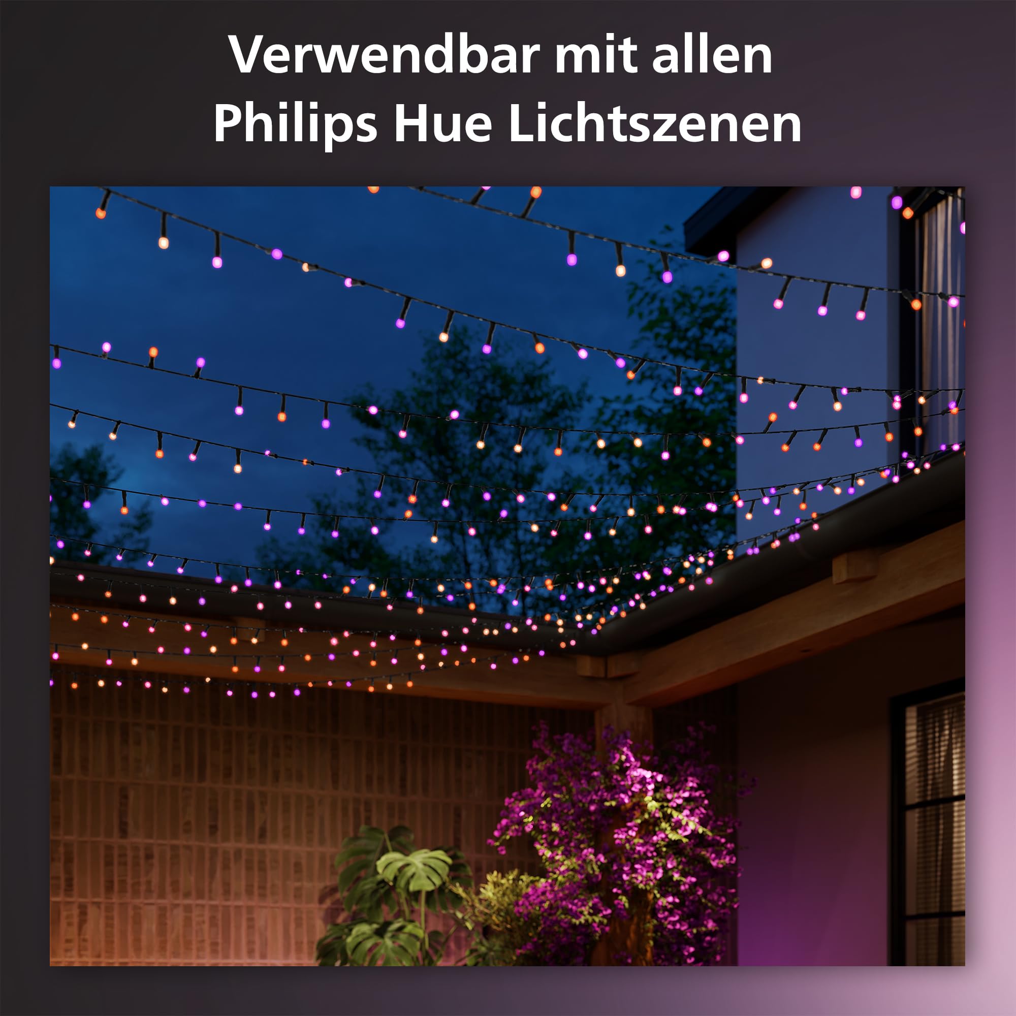 philips-hue-festavia-lichterkette-white-color-ambiance-250-mini-leds-20-m-dimmba image 2