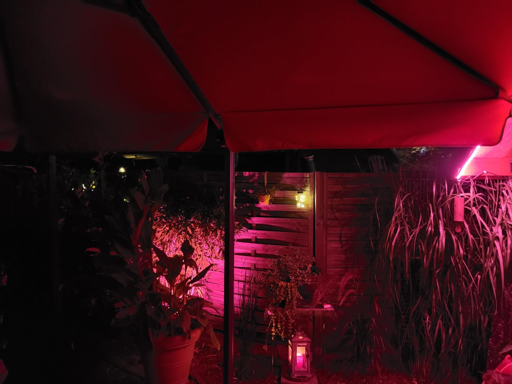 Garten in neuem Licht