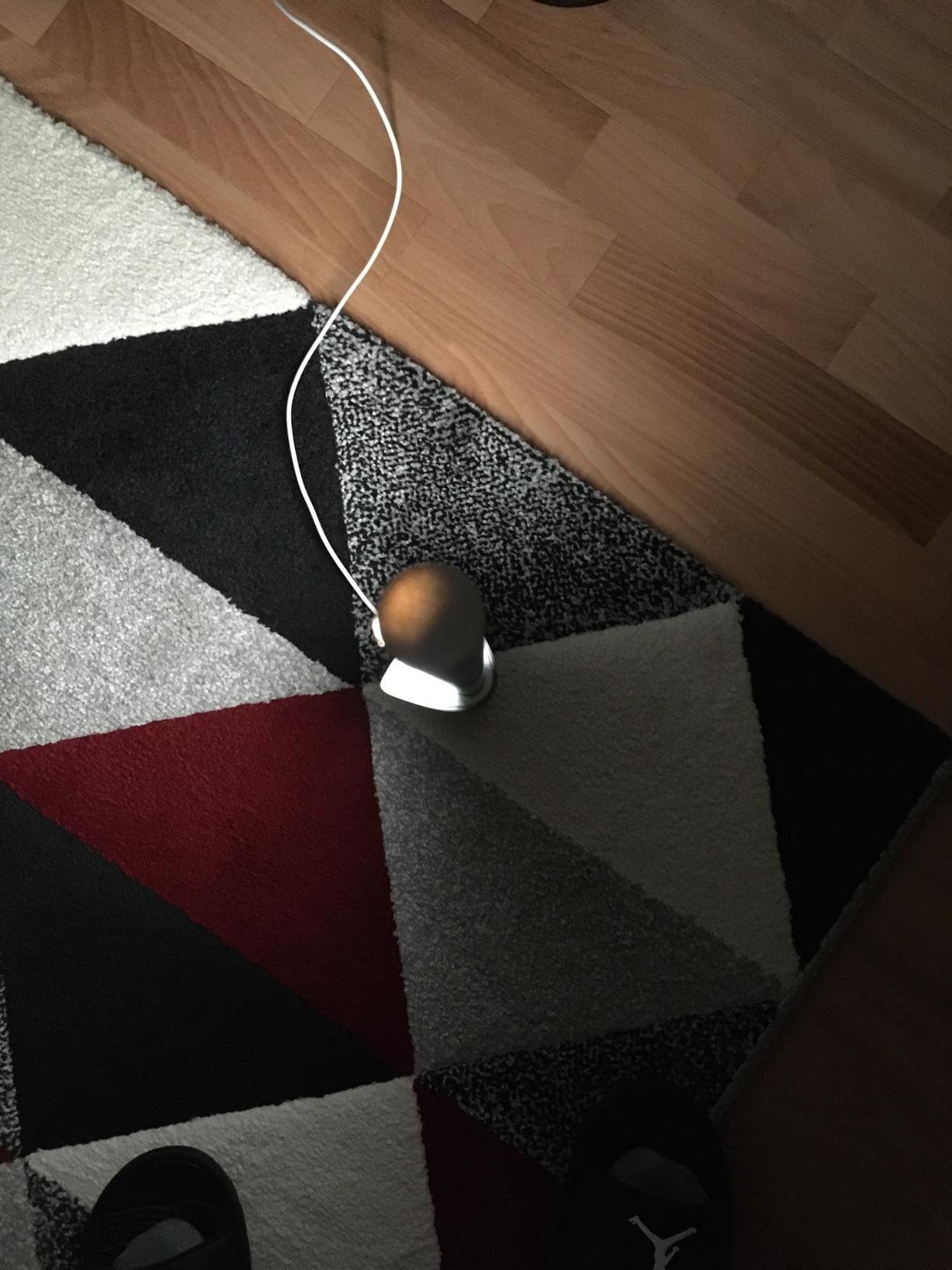 Absolutes Highlight im Wohnzimmer