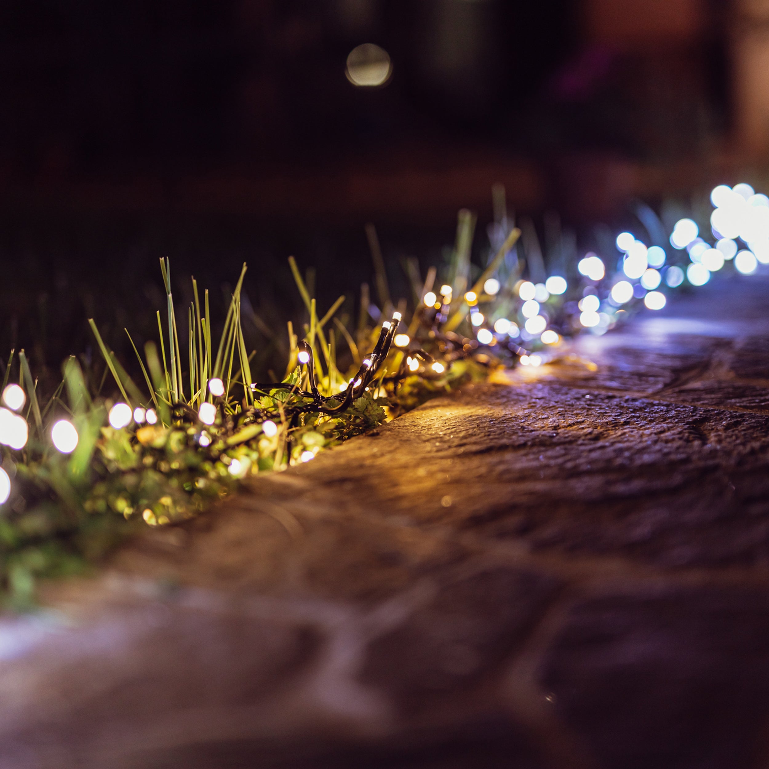 twinkly-cluster-gold-silver-led-lichterkette-mit-dichter-led-verteilung-in-gold- image 3